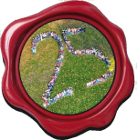 Siegel25JahreFESW 2022 150 154 a