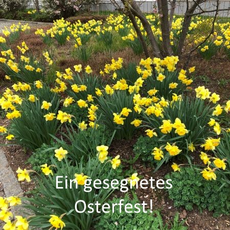 Ein frohes gesegnetes Osterfest!